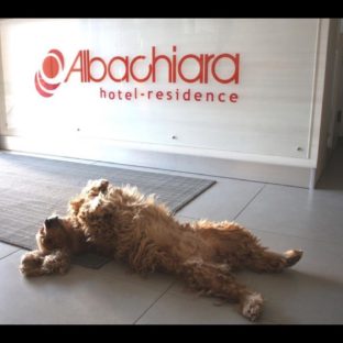 Albachiara residence Rimini